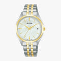 ALBA FASHION - AG8P36X1