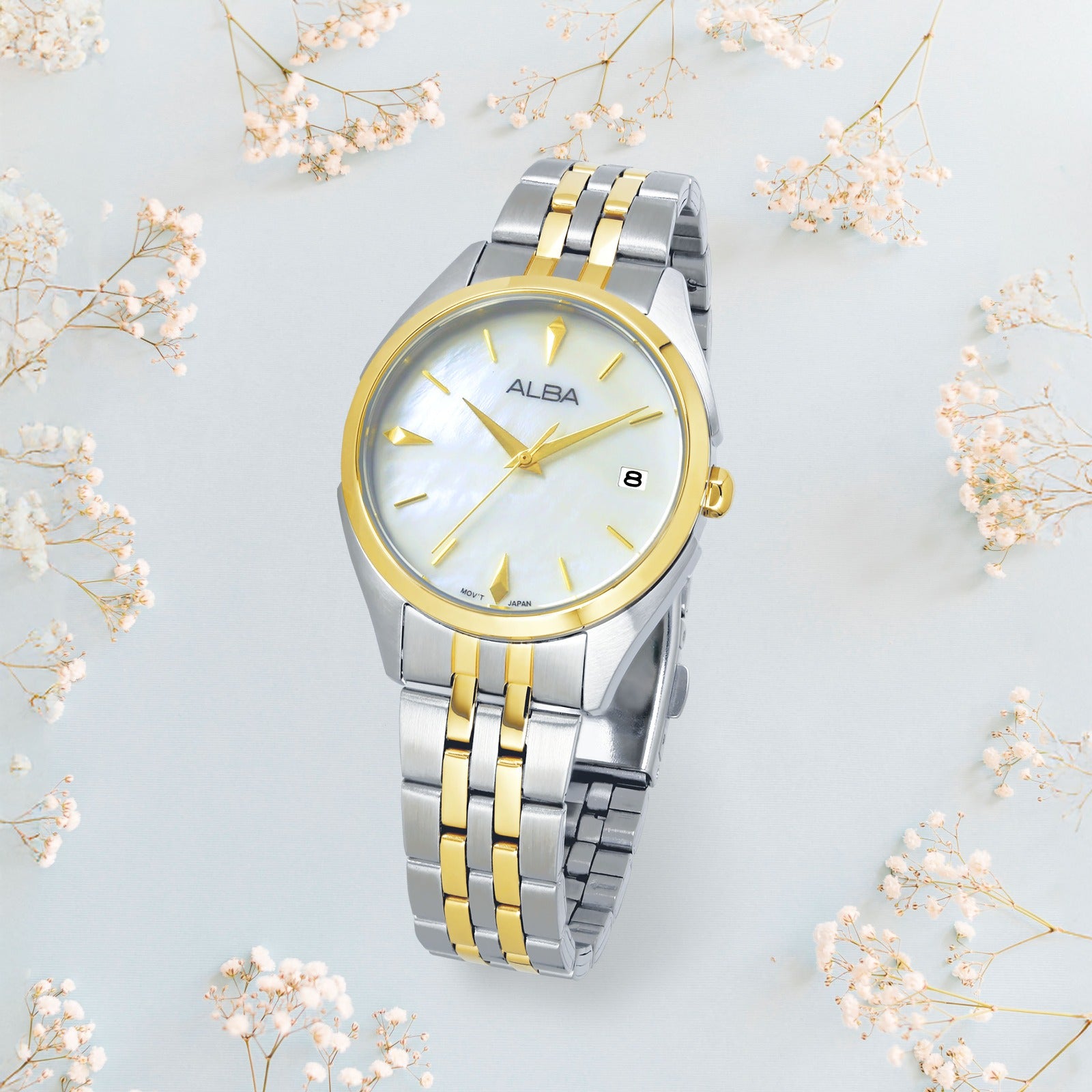 ALBA FASHION - AG8P36X1